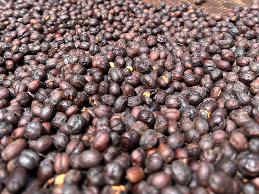 Ethiopia_Dega_Natural